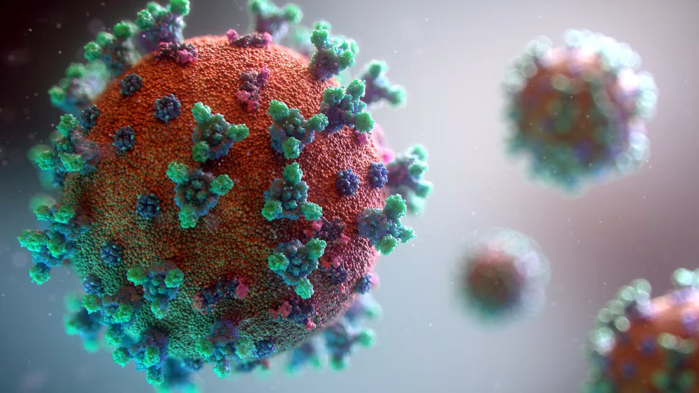 Unveiling the JN.1 Strain of Coronavirus: What You Need to Know