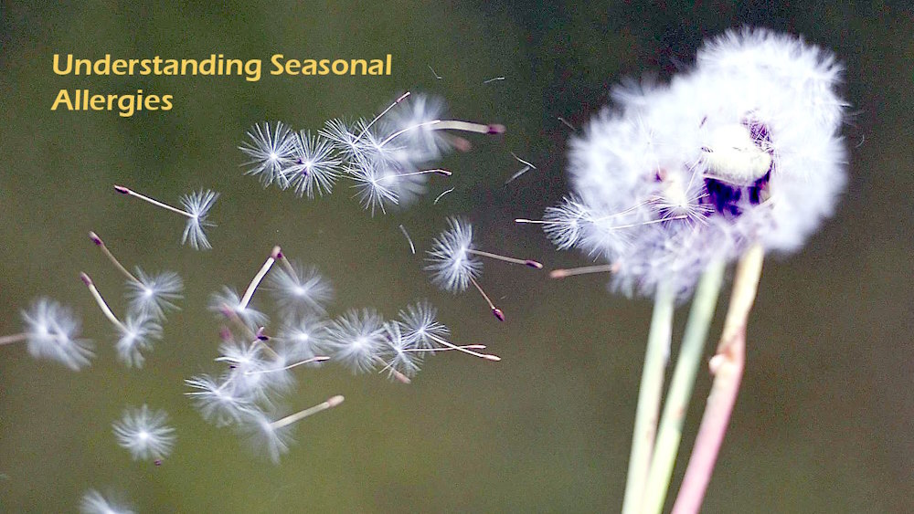 Understanding Seasonal Allergies: Symptoms and Treatment